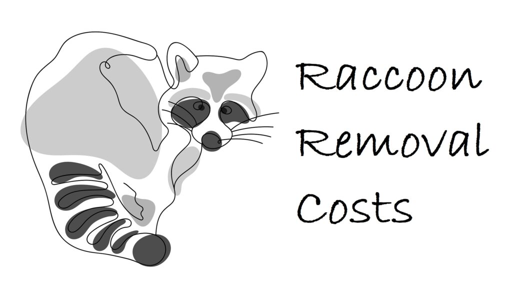 Indianapolis IN Raccoon Removal Service 317-875-3099