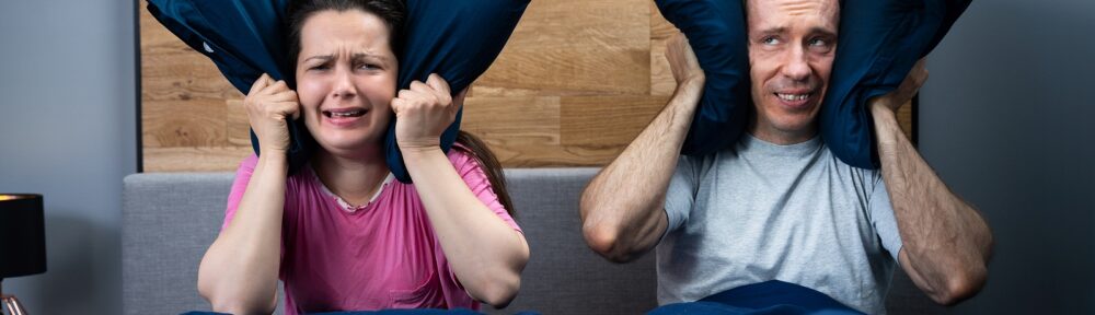 Bat Removal Nashville TN 615-337-9165