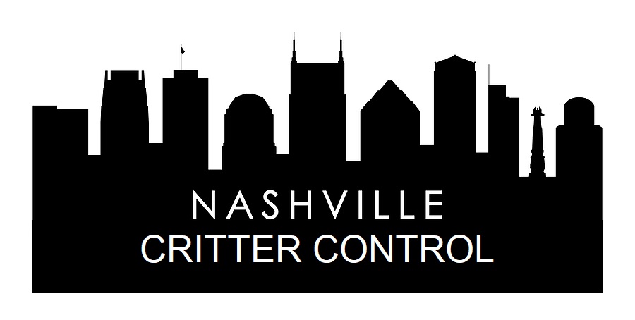 Nashville Tennessee Critter Control