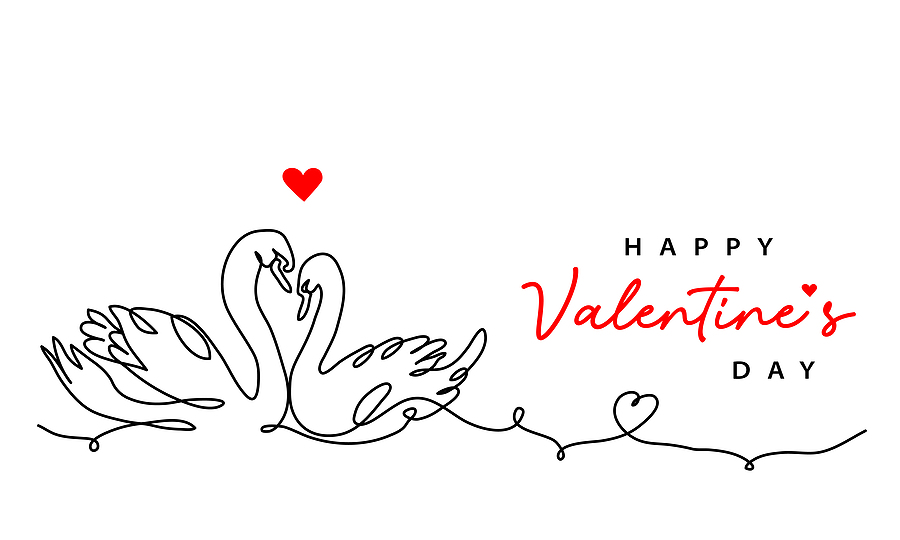 Mute Swans pair for life!